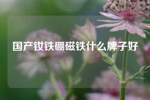 国产钕铁硼磁铁什么牌子好