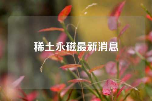 稀土永磁最新消息