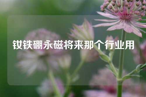 钕铁硼永磁将来那个行业用