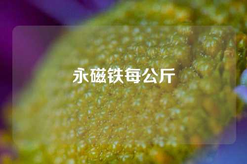 永磁铁每公斤