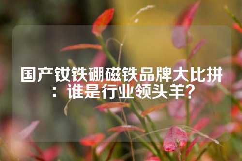 国产钕铁硼磁铁品牌大比拼:谁是行业领头羊?