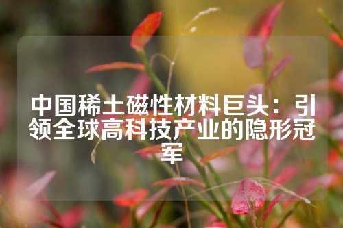中国稀土磁性材料巨头：引领全球高科技产业的隐形冠军