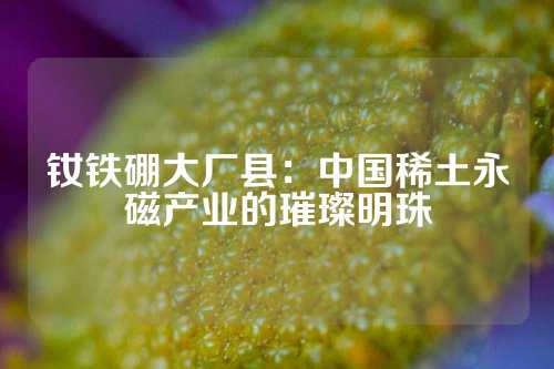 钕铁硼大厂县：中国稀土永磁产业的璀璨明珠
