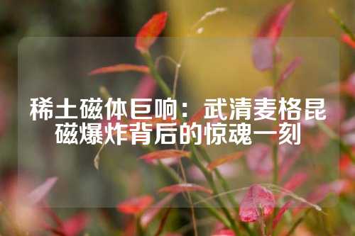 稀土磁体巨响：武清麦格昆磁爆炸背后的惊魂一刻