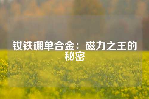 钕铁硼单合金:磁力之王的秘密
