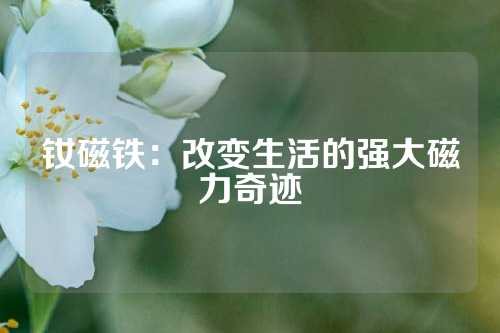钕磁铁：改变生活的强大磁力奇迹
