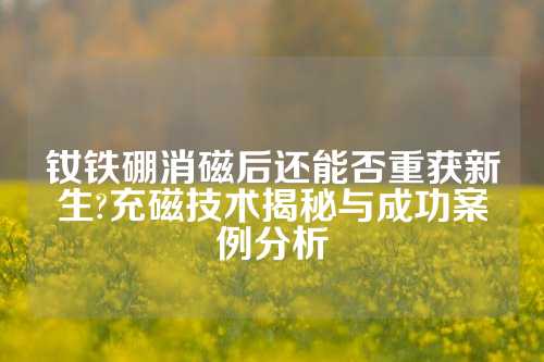 钕铁硼消磁后还能否重获新生?充磁技术揭秘与成功案例分析