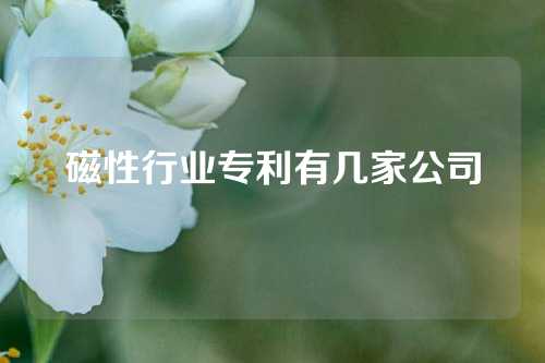 磁性行业专利有几家公司