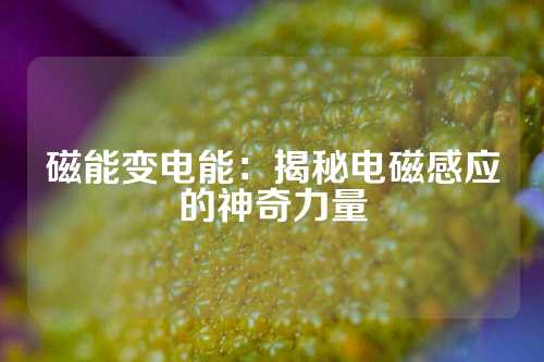 磁能变电能：揭秘电磁感应的神奇力量