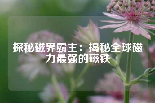 探秘磁界霸主：揭秘全球磁力最强的磁铁