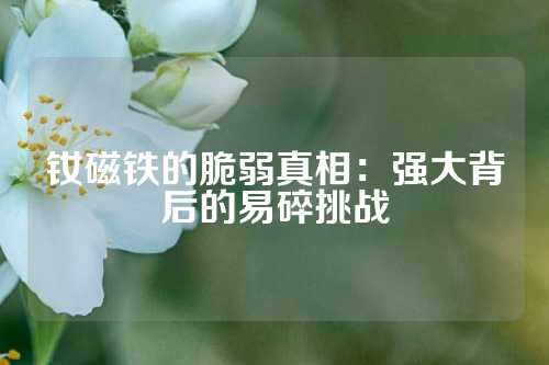 钕磁铁的脆弱真相：强大背后的易碎挑战