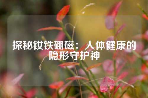探秘钕铁硼磁：人体健康的隐形守护神
