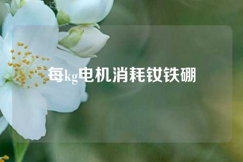每kg电机消耗钕铁硼