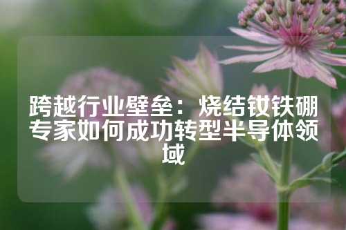 跨越行业壁垒：烧结钕铁硼专家如何成功转型半导体领域