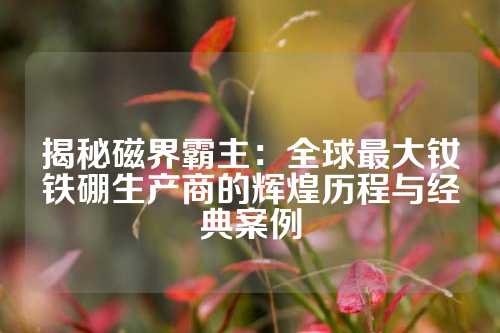 揭秘磁界霸主：全球最大钕铁硼生产商的辉煌历程与经典案例