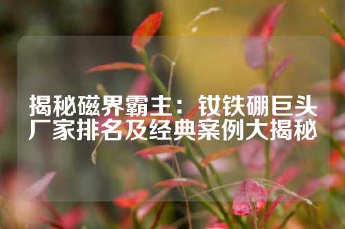揭秘磁界霸主：钕铁硼巨头厂家排名及经典案例大揭秘