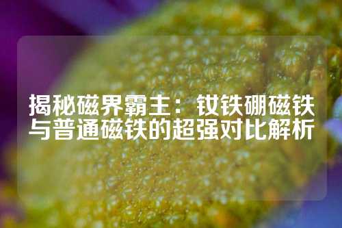 揭秘磁界霸主：钕铁硼磁铁与普通磁铁的超强对比解析