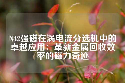 N42强磁在涡电流分选机中的卓越应用：革新金属回收效率的磁力奇迹