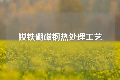 钕铁硼磁钢热处理工艺