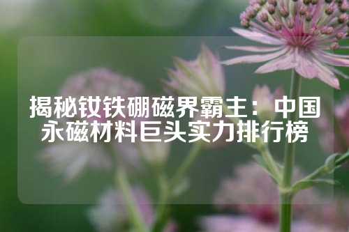 揭秘钕铁硼磁界霸主：中国永磁材料巨头实力排行榜