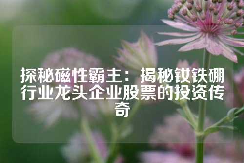 探秘磁性霸主：揭秘钕铁硼行业龙头企业股票的投资传奇