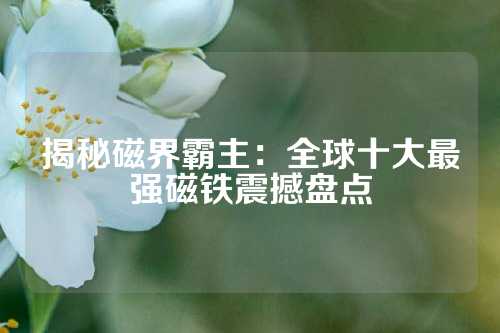 揭秘磁界霸主：全球十大最强磁铁震撼盘点