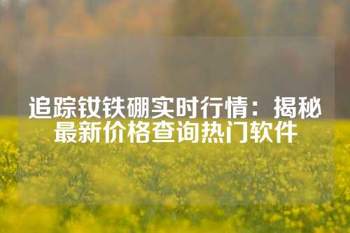 追踪钕铁硼实时行情：揭秘最新价格查询热门软件