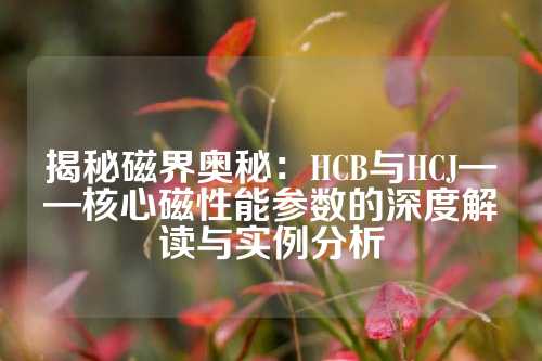 揭秘磁界奥秘：HCB与HCJ——核心磁性能参数的深度解读与实例分析