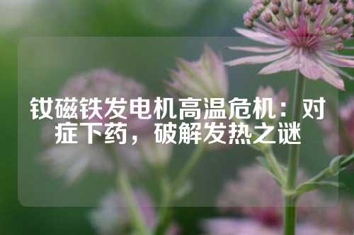 钕磁铁发电机高温危机：对症下药，破解发热之谜