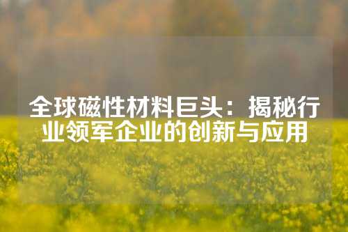 全球磁性材料巨头:揭秘行业领军企业的创新与应用
