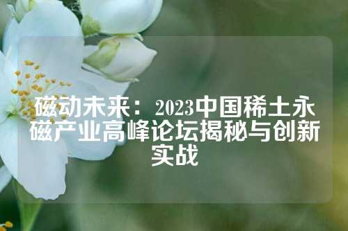 磁动未来：2023中国稀土永磁产业高峰论坛揭秘与创新实战