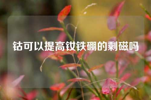 钴可以提高钕铁硼的剩磁吗