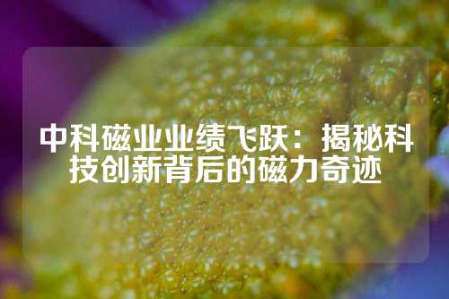 中科磁业业绩飞跃：揭秘科技创新背后的磁力奇迹