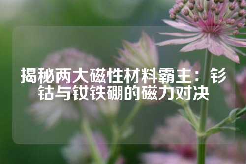 揭秘两大磁性材料霸主：钐钴与钕铁硼的磁力对决