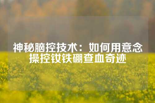 神秘脑控技术：如何用意念操控钕铁硼查血奇迹