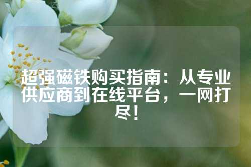 超强磁铁购买指南：从专业供应商到在线平台，一网打尽！
