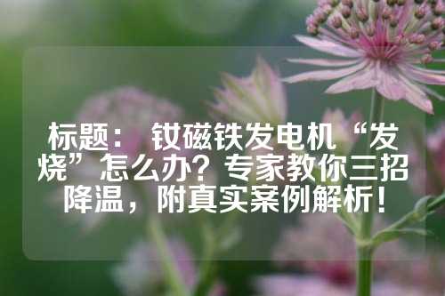 标题： 钕磁铁发电机“发烧”怎么办？专家教你三招降温，附真实案例解析！