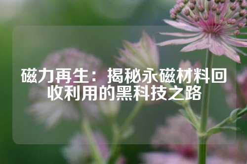 磁力再生：揭秘永磁材料回收利用的黑科技之路