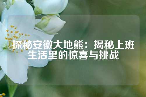 探秘安徽大地熊：揭秘上班生活里的惊喜与挑战