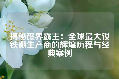 揭秘磁界霸主：全球最大钕铁硼生产商的辉煌历程与经典案例