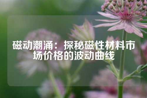 磁动潮涌：探秘磁性材料市场价格的波动曲线