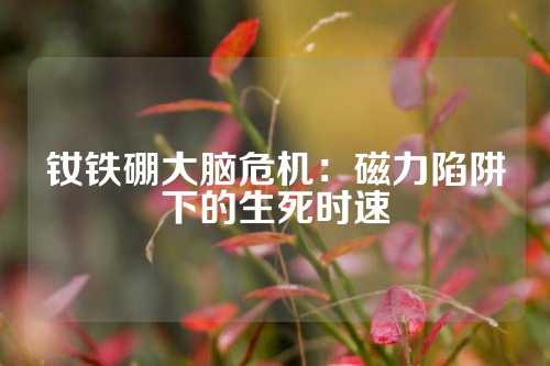 钕铁硼大脑危机：磁力陷阱下的生死时速