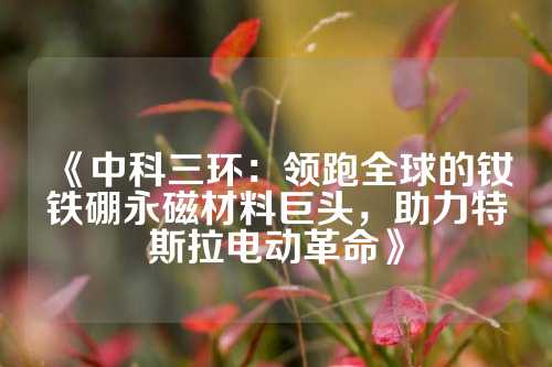 《中科三环：领跑全球的钕铁硼永磁材料巨头，助力特斯拉电动革命》