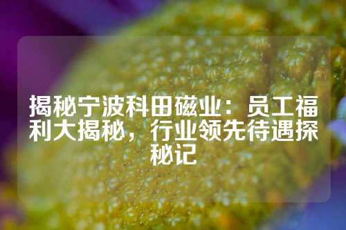 揭秘宁波科田磁业：员工福利大揭秘，行业领先待遇探秘记