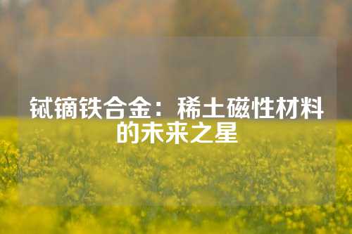 铽镝铁合金：稀土磁性材料的未来之星