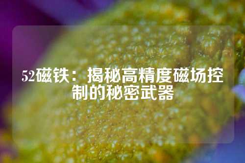 52磁铁：揭秘高精度磁场控制的秘密武器