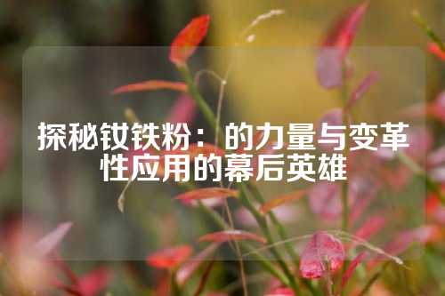 探秘钕铁粉：的力量与变革性应用的幕后英雄