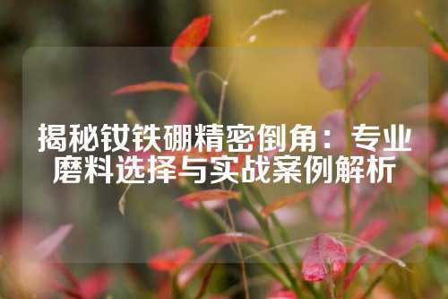 揭秘钕铁硼精密倒角：专业磨料选择与实战案例解析