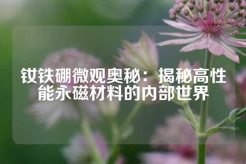 钕铁硼微观奥秘：揭秘高性能永磁材料的内部世界