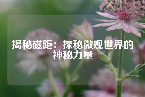 揭秘磁距：探秘微观世界的神秘力量
